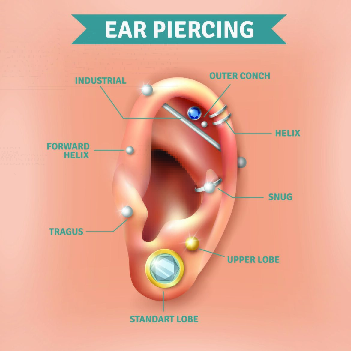 ear piercing chart ear piercing chart
